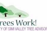 Simi Valley – Member for Tree Advisory Board sought
