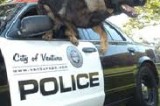 Ventura–13 year old girl reports break-in to police