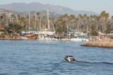 Lone boater rescued from choppy seas outside Ventura Harbor
