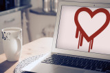 NSA Exploited HeartBleed Vulnerability–tech flaw leaks your personal data
