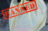 Ventura City Council Delays Consideration of Single-Use Carryout Bag Ordinance