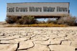 Bad Government policy causes lack of water in California
