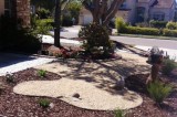 Adapting to the drought- Landscaping