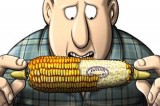 Monsanto/FDA: Two crime families, trillion-dollar hustle