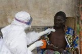 Ebola Facts And Fantasies