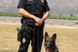 Ferro, pooch extraordinaire, retires from Ventura Police Force