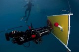 Unmanned Underwater Vehicles and port safety