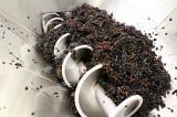 Wine making at Aldabella –Heard It On The Grapevine–What’s up, What’s hot, Ventura County’s Local Wineries