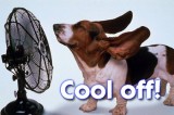 Excessive Heat Watch in effect for Simi Valley — 10 am, July 22 thru 8 pm, July 23