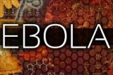 Bombshell: Ebola virus never isolated from a human?