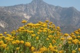 Why a chunk of the San Gabriel Mountains was left out of the national monument