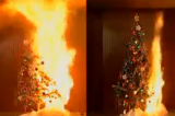 Home Christmas Tree Safety Tips from the National Fire Protection Assoc.