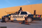 Sheriff’s K-9 Unit Saves life of Suicidal Person – Camarillo
