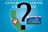 CA bag ban initiative heading toward 2016 vote