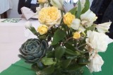The Ventura County Garden Club Celebrates Succulents