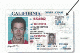 Undocumented immigrants hit the road with CA driver’s licenses