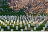 On How It Began: Remembering to honor…Decoration Day