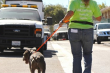Ventura County Animal Services: Crowd Fundraiser “Saving Pets Challenge 2015”