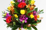 Master Gardeners Class: Beautiful Floral Arrangements–June 20th