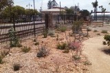 Volunteers in Dirt:  Ventura County Master Gardener Program