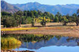 Ojai Valley Land Conservancy and Ventura County Public Works improve quality of Ventura River