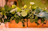 Mastering Your Home Garden Workshop: Gift from the Garden–Sign up now!