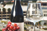 Introducing Sip & Savor Wine Tours in Ventura!