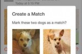 Finding Rover: New app helps locate wayward pet