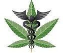 Port Hueneme Medicinal Cannabis Ordinance