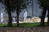 Terrorism: Agriculture Should Have No Less Concerns