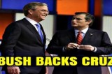 Jeb Bush reaches decision to endorse Ted Cruz