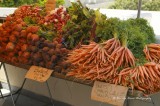 Ventura County Certified Farmers’ Market Association Participates in  ‘The Taste of Wellness Fair’