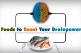 6 Vitamins And Minerals To Feed Your Brain