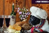 First Annual Wine and Whiskers — To Benefit Paw Works