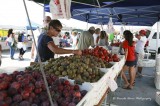Ventura County Certified Farmers’ Market Association  Market Match and Cal-Fresh (SNAP) Programs Prove Successful