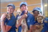 Helpful Honda Pet Adoption Comes to Ventura County on 3/25!