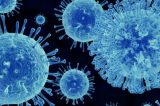 Growing Concerns of Coronavirus Should Spur Plans—Not Panic