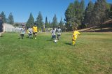 Boys & Girls Clubs of Greater Conejo Valley Accepting Registrations for the 2017 Spring Sports Leagues