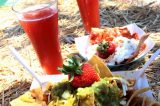 A Foodie visits Paradise – The California Strawberry Festival