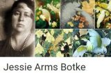 Santa Paula Art Museum — Wanted: Jessie Arms Botke Birds and Flowers Paintings