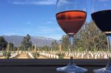 Exclusive Local Winery Joins 31st Annual Ojai Wine Festival VIP Experience