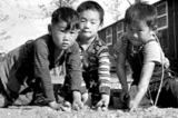 Venice Historical Society Presents:  THE LIVES OF THE VENICE JAPANESE AMERICANS