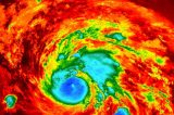 The Hurricane Harvey Hustle