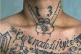 MS-13 Members Charged With Crimes Ranging From Terrorism To Murder