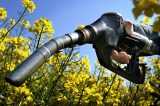 DC Swamp denizens strike back: Crony corporatists deep-six proposed EPA reductions in biodiesel mandates