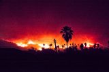 Thomas Fire by the numbers