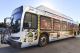 Catch the “ELF on the GO” holiday bus at a stop near you