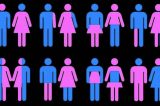 Conejo Valley Unified School District | Science and Gender