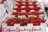 California strawberries are about to get tastier and more environmentally friendly