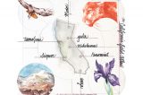 Herb Walks | The California Field Atlas | Spend the Day with Award-winning Author-Illustrator Obi Kaufmann